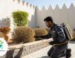 افضل شركة مكافحة حشرات بالاحساء