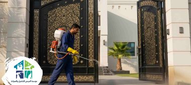 افضل شركة مكافحة حشرات بجدة